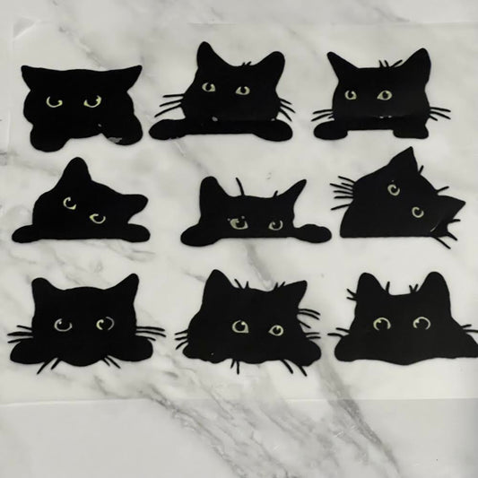 Black Cats